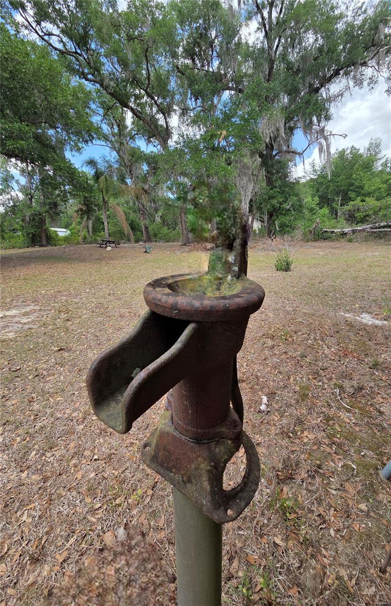 27440 WINCHESTER DR, BROOKSVILLE, FL, 34602