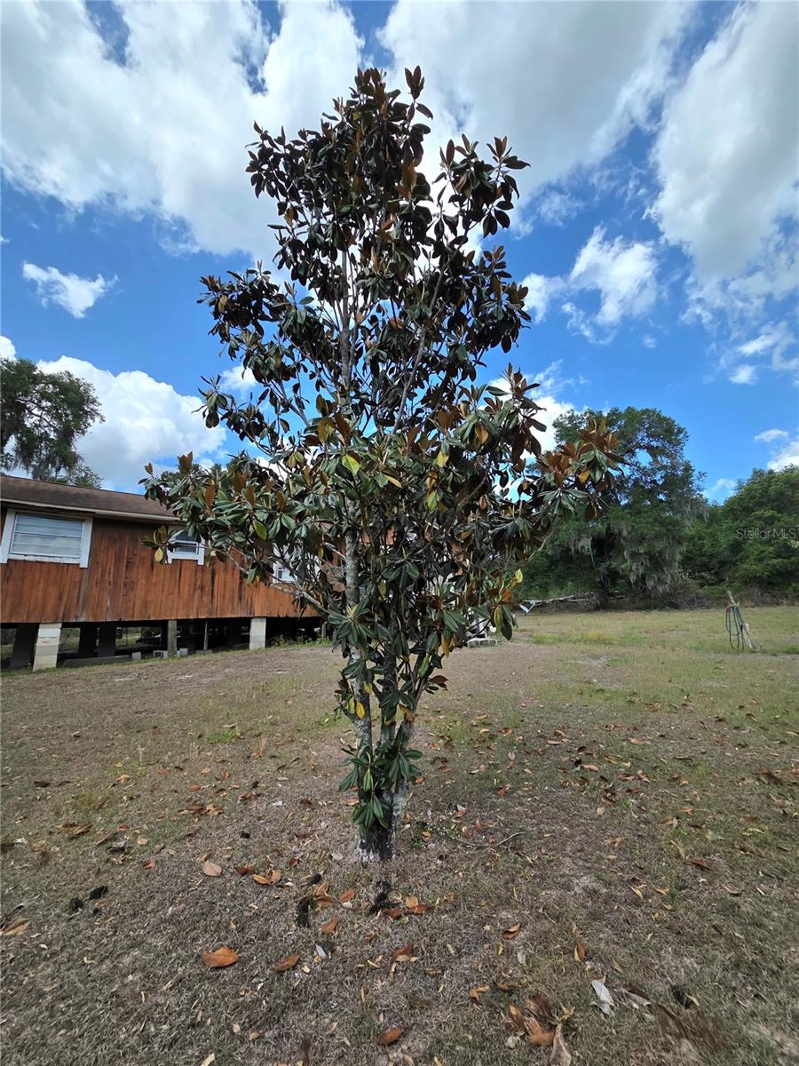 27440 WINCHESTER DR, BROOKSVILLE, FL, 34602