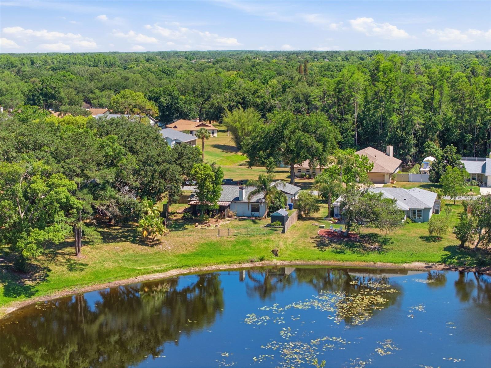 23057 BRIGHTON PL, LAND O LAKES, FL, 34639