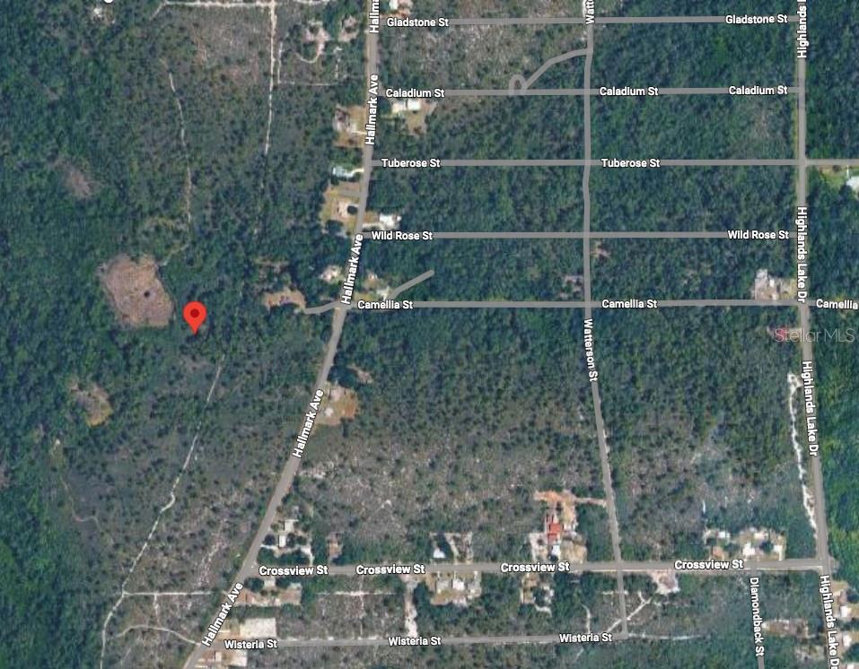 734 DOLPHIN AVE, LAKE PLACID, FL, 33852