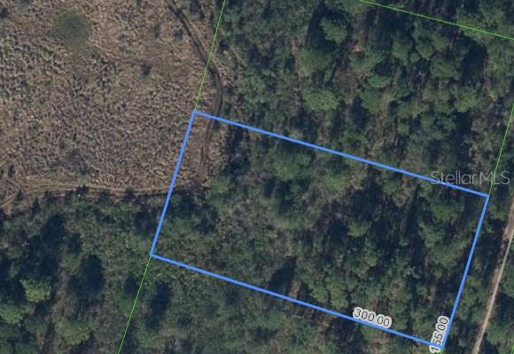 734 DOLPHIN AVE, LAKE PLACID, FL, 33852