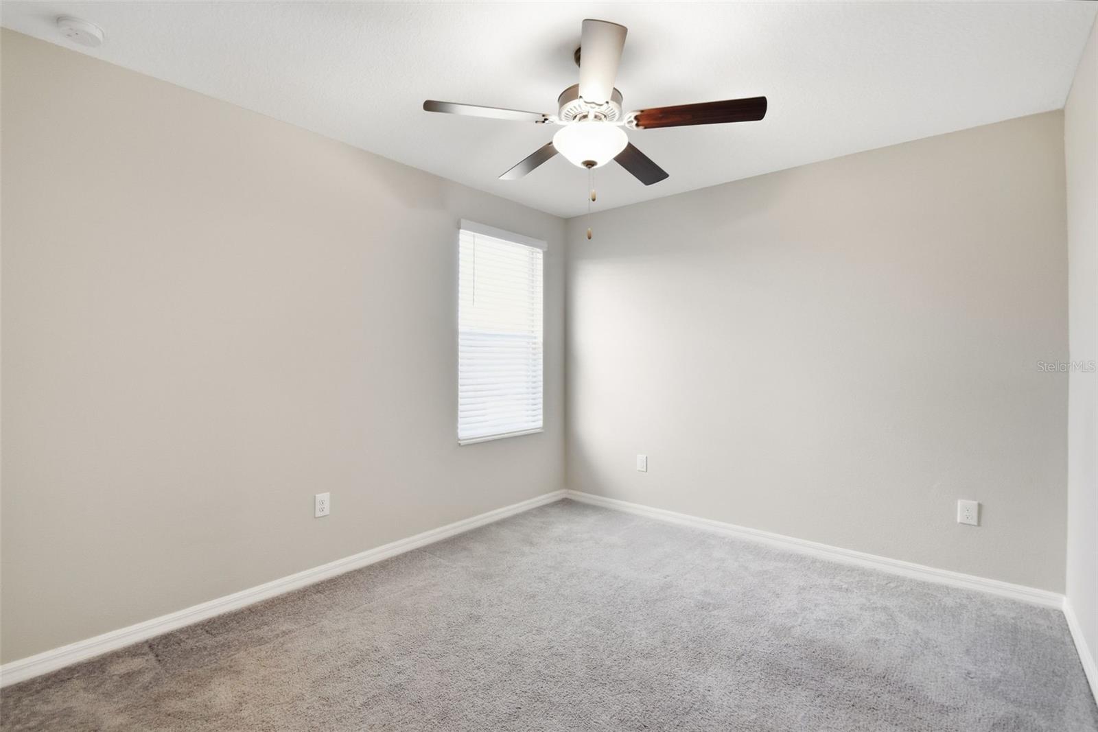 7329 CANTERBURY BELLS CT, TAMPA, FL, 33619