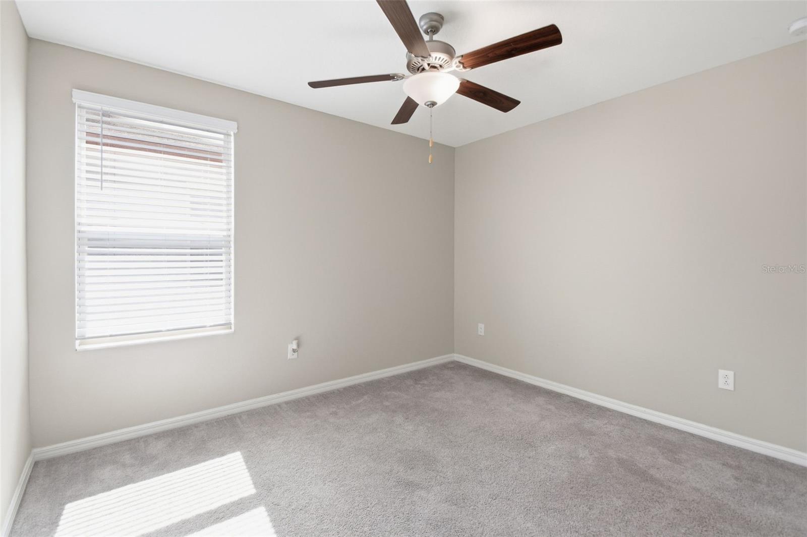 7329 CANTERBURY BELLS CT, TAMPA, FL, 33619