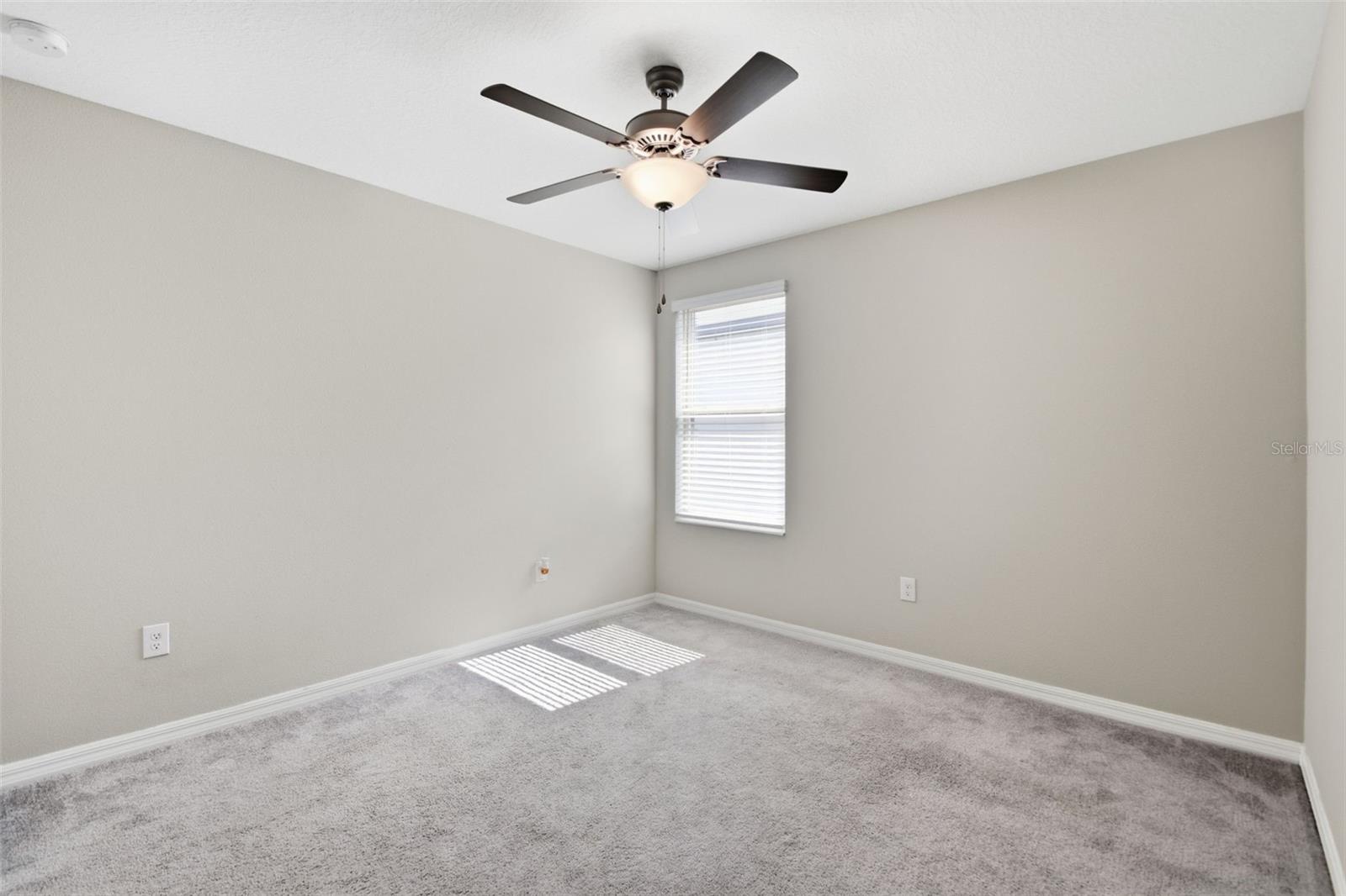 7329 CANTERBURY BELLS CT, TAMPA, FL, 33619
