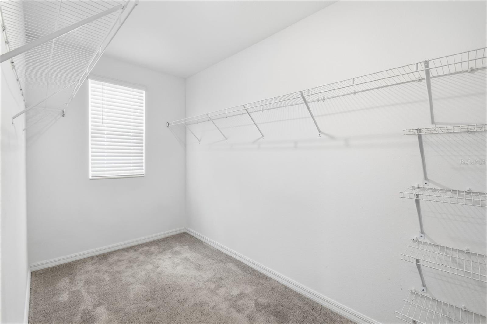 7329 CANTERBURY BELLS CT, TAMPA, FL, 33619