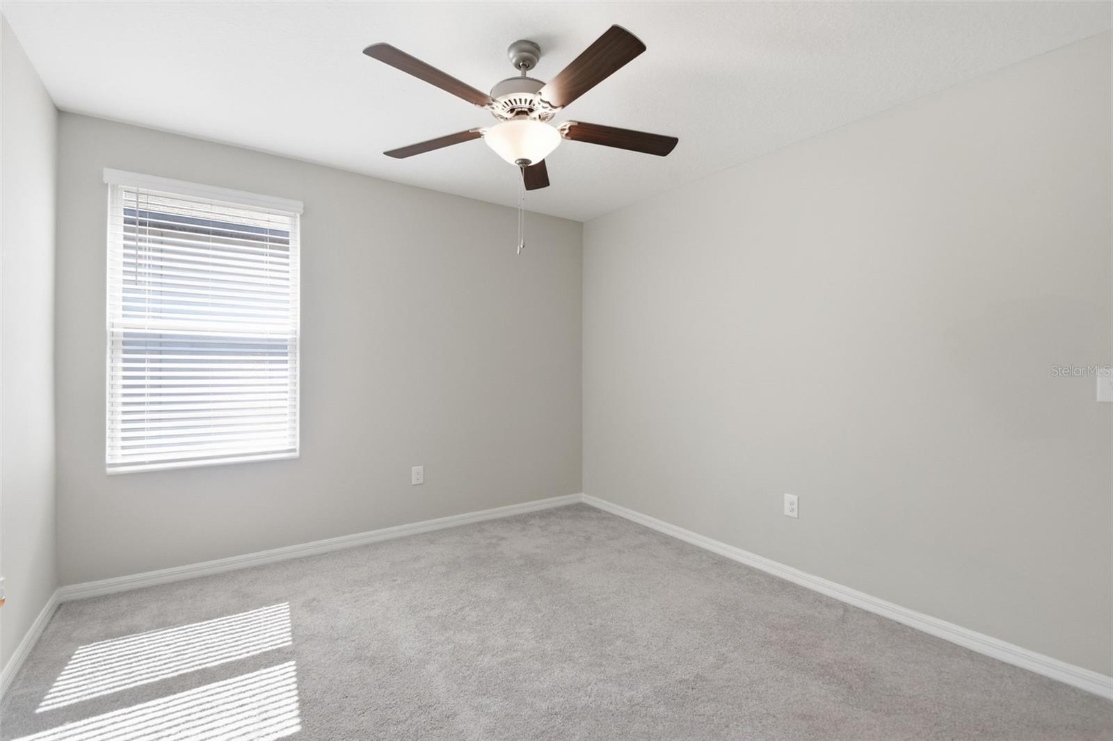 7329 CANTERBURY BELLS CT, TAMPA, FL, 33619