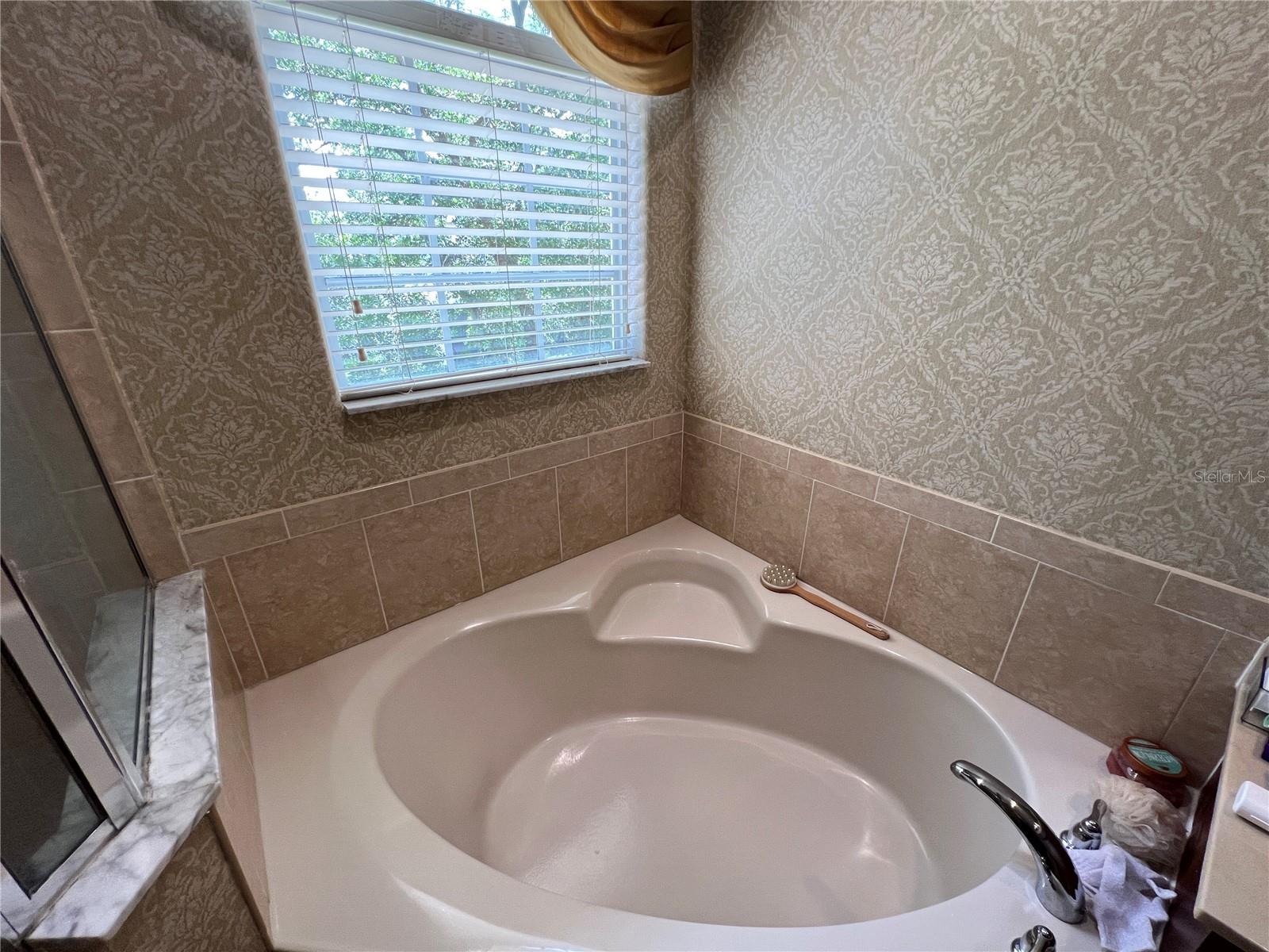 1607 TAIL FEATHER DR, KISSIMMEE, FL, 34746