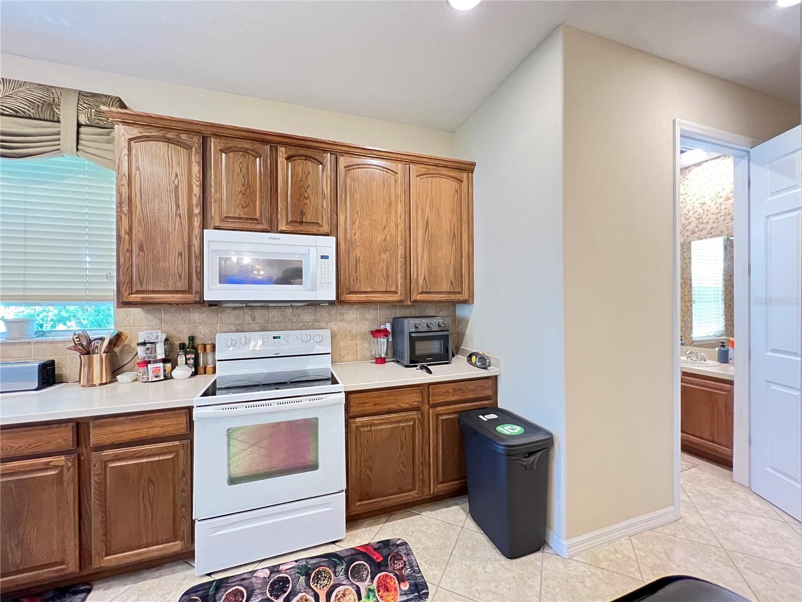 1607 TAIL FEATHER DR, KISSIMMEE, FL, 34746