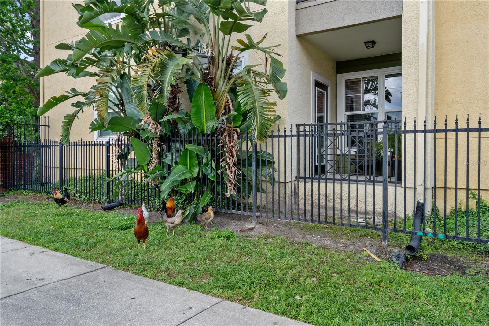 1810 E PALM AVE #5122, TAMPA, FL, 33605