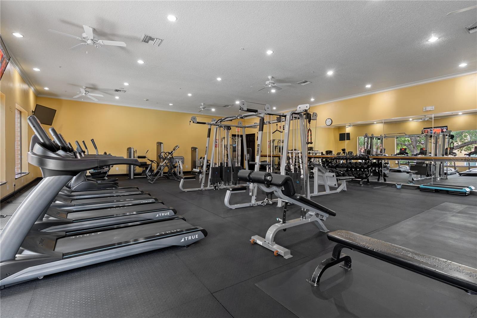 1810 E PALM AVE #5122, TAMPA, FL, 33605