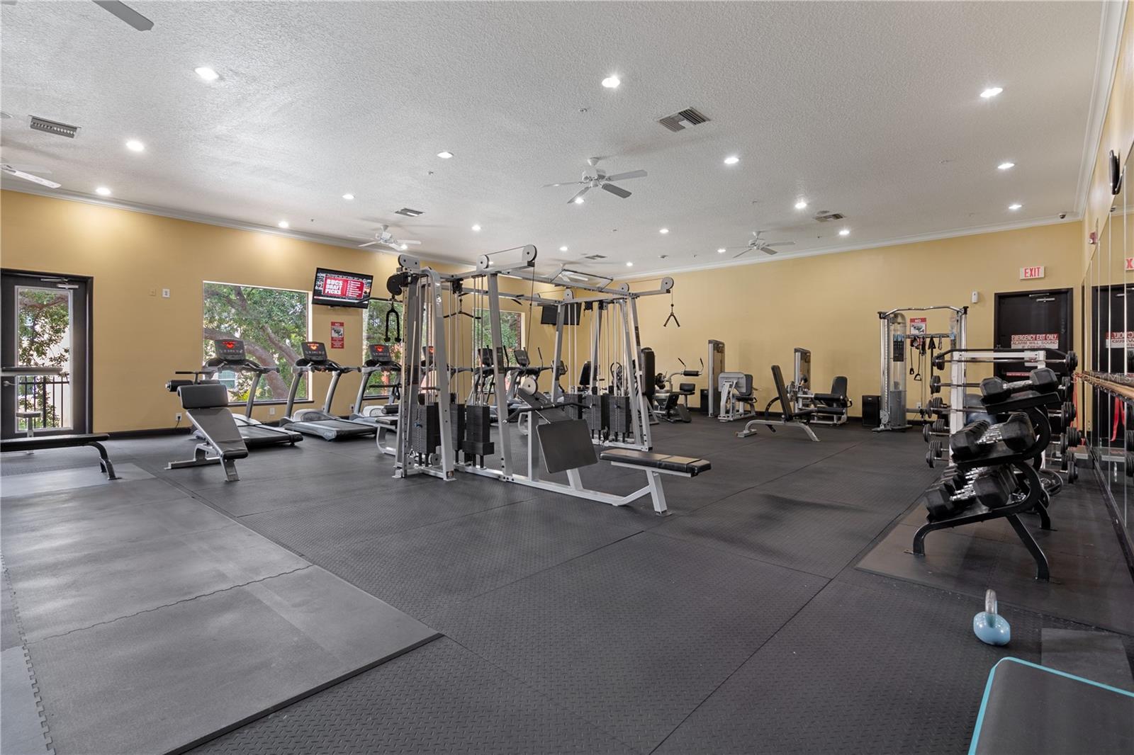 1810 E PALM AVE #5122, TAMPA, FL, 33605