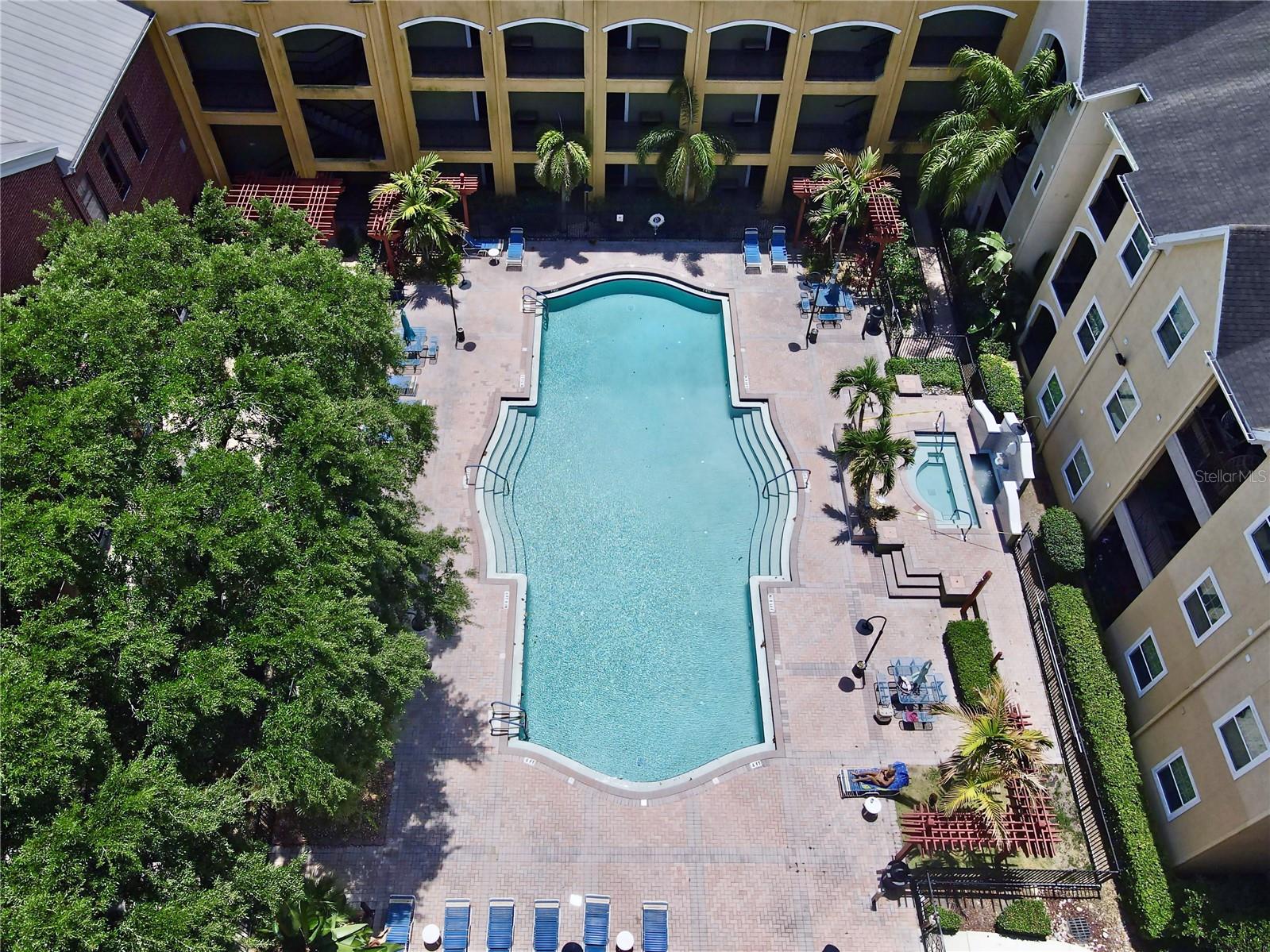 1810 E PALM AVE #5122, TAMPA, FL, 33605