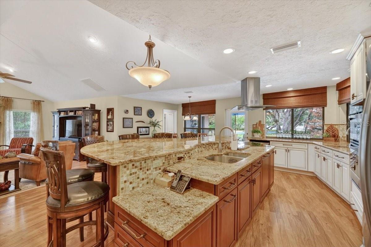 11214 LEPRECHAUN DR, RIVERVIEW, FL, 33569