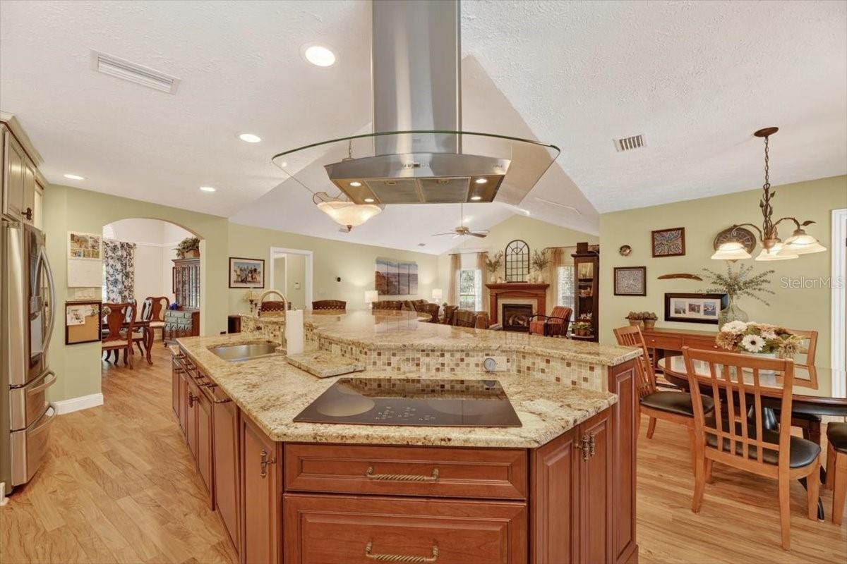 11214 LEPRECHAUN DR, RIVERVIEW, FL, 33569