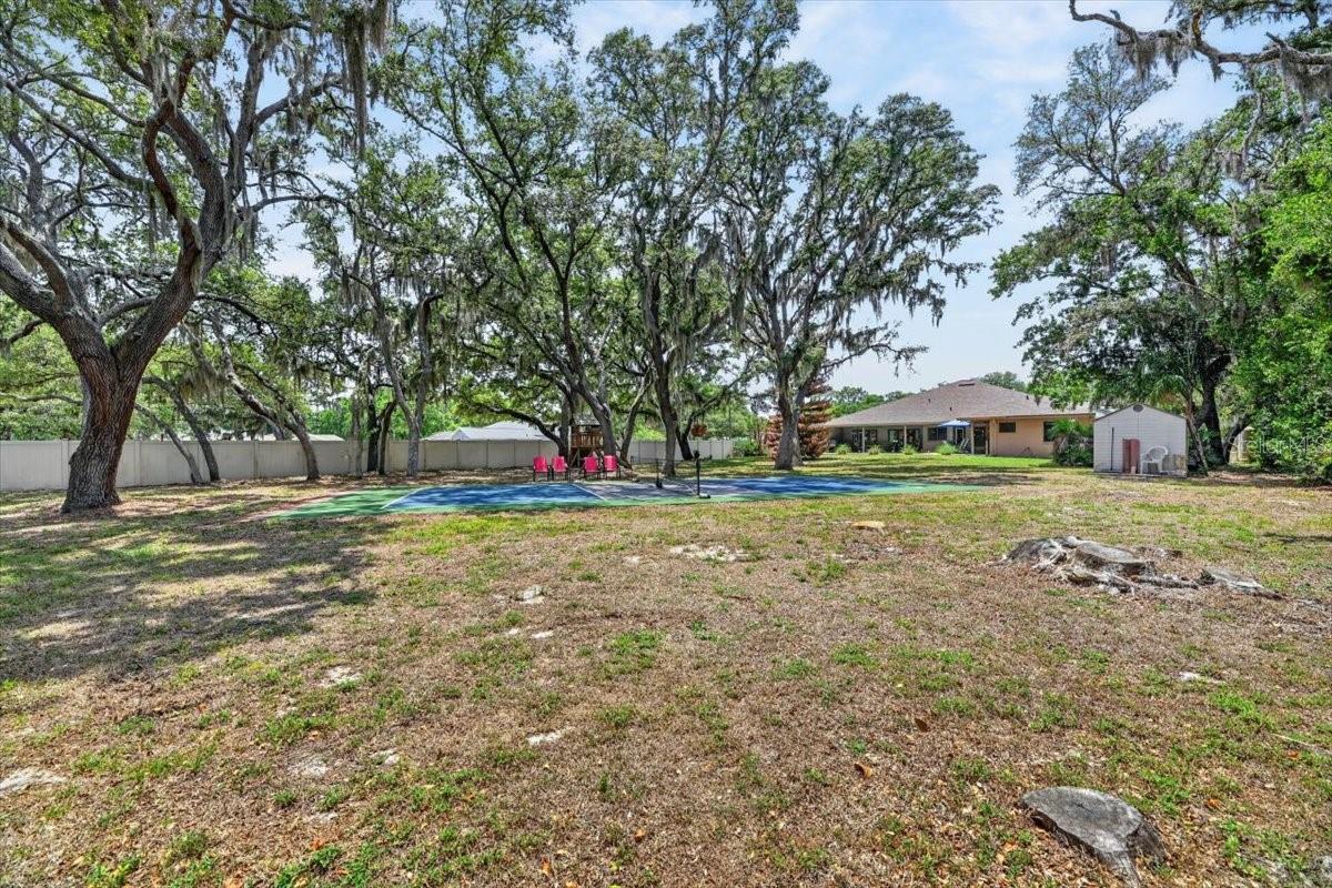 11214 LEPRECHAUN DR, RIVERVIEW, FL, 33569