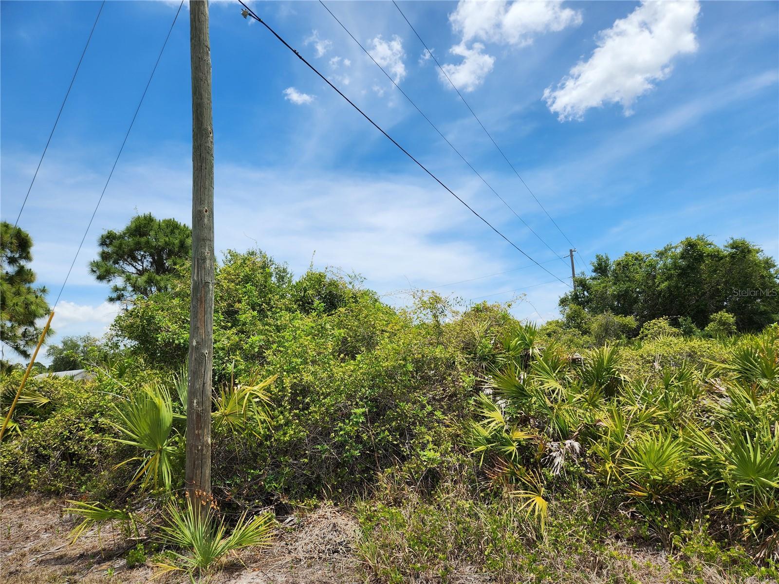 13128 FORESMAN BLVD, PORT CHARLOTTE, FL, 33981