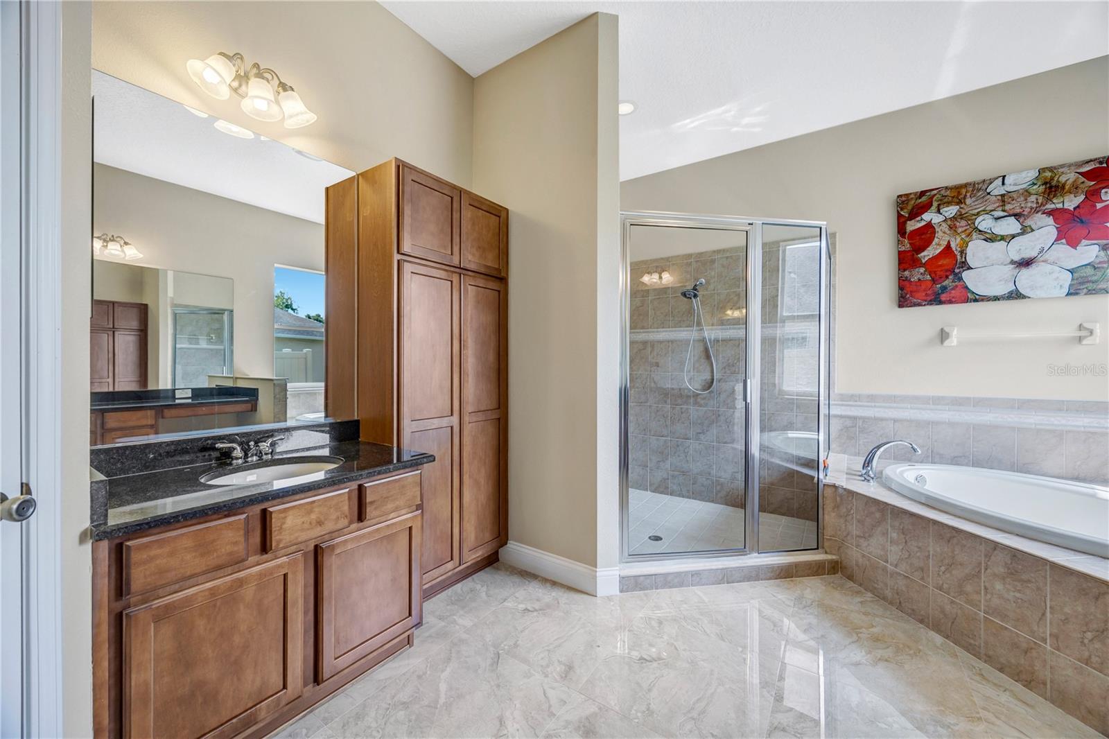27438 SORA BLVD, WESLEY CHAPEL, FL, 33544