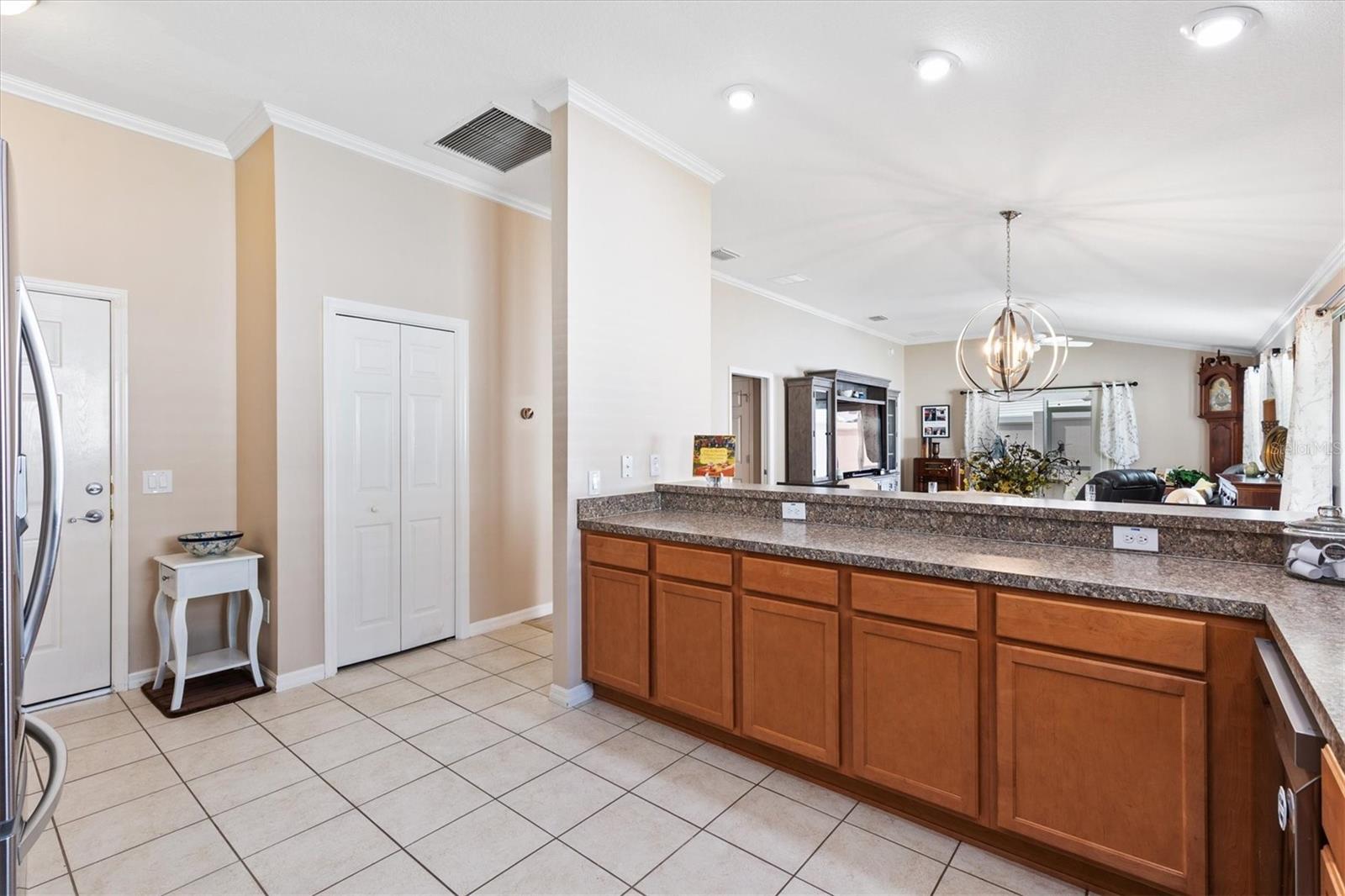 2246 CRESTVIEW ST, THE VILLAGES, FL, 32162