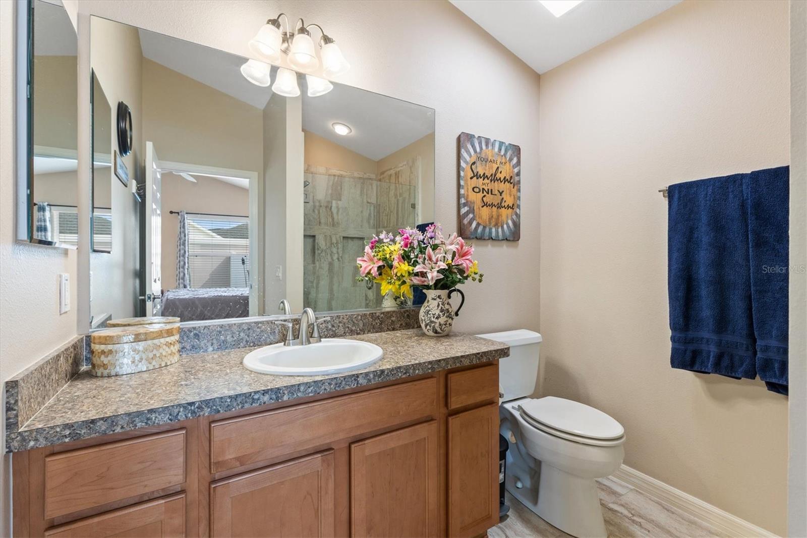 2246 CRESTVIEW ST, THE VILLAGES, FL, 32162