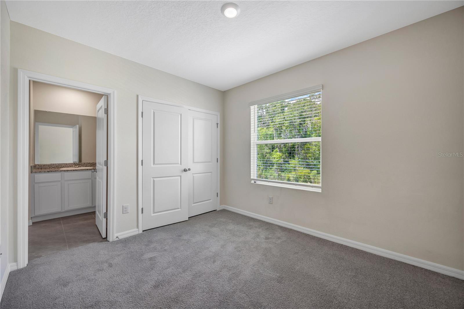 1466 COLT CREEK PL, WESLEY CHAPEL, FL, 33543