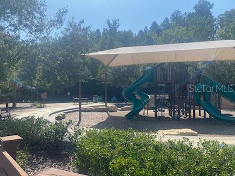 1466 COLT CREEK PL, WESLEY CHAPEL, FL, 33543