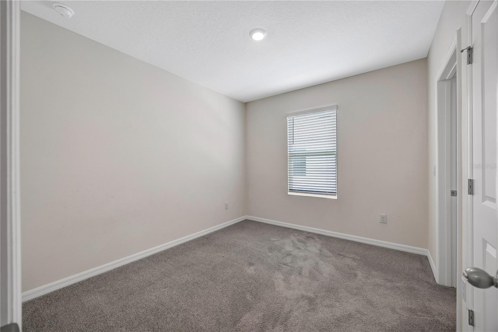 1466 COLT CREEK PL, WESLEY CHAPEL, FL, 33543