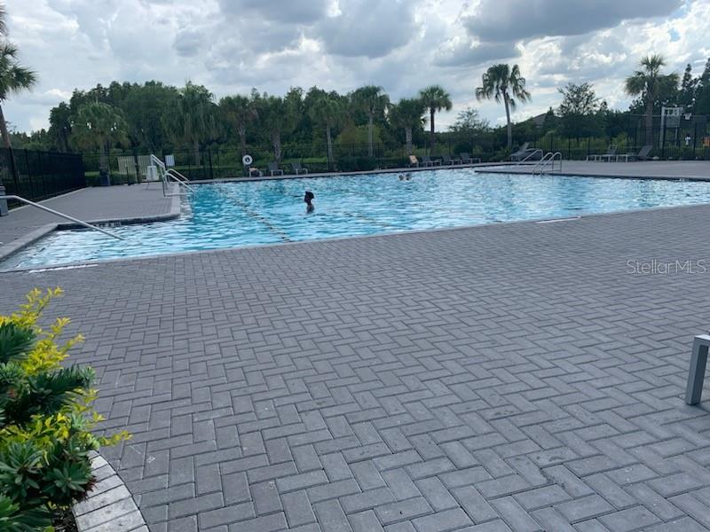 1466 COLT CREEK PL, WESLEY CHAPEL, FL, 33543