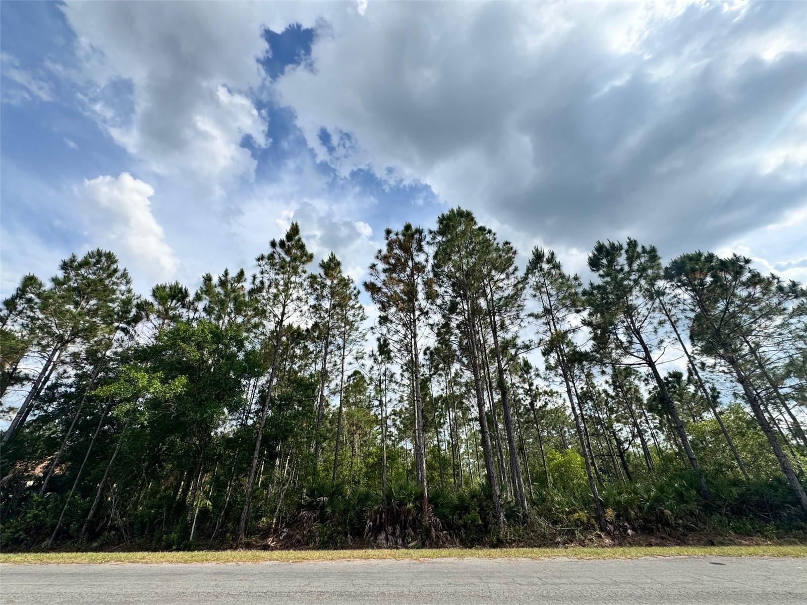00 SODBURY ST, ORLANDO, FL, 32833