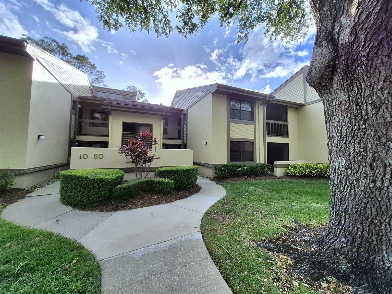 50 WOODLAKE PL, OLDSMAR, FL, 34677