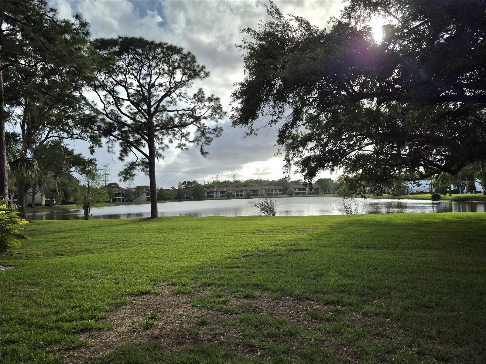 50 WOODLAKE PL, OLDSMAR, FL, 34677