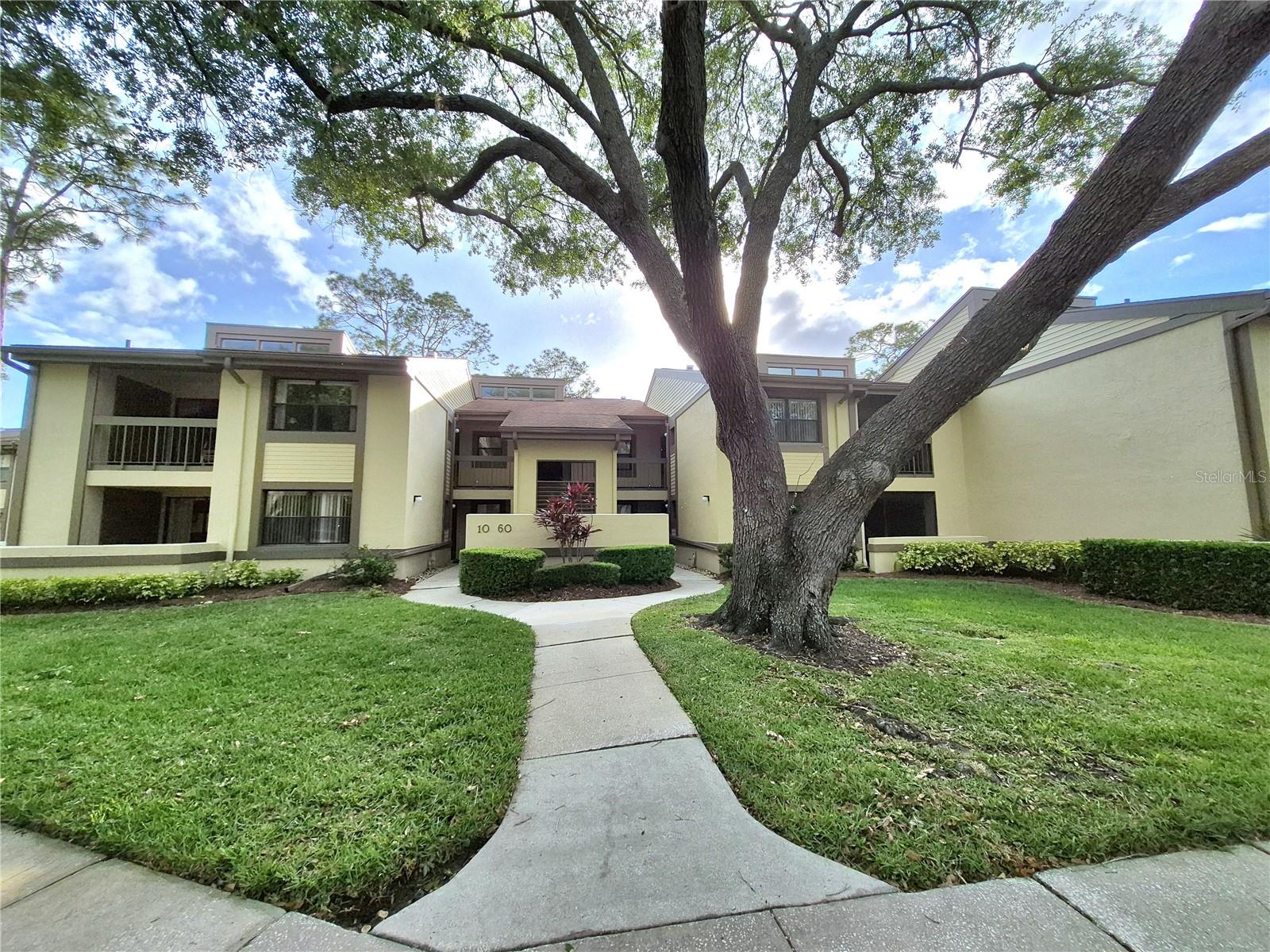 50 WOODLAKE PL, OLDSMAR, FL, 34677