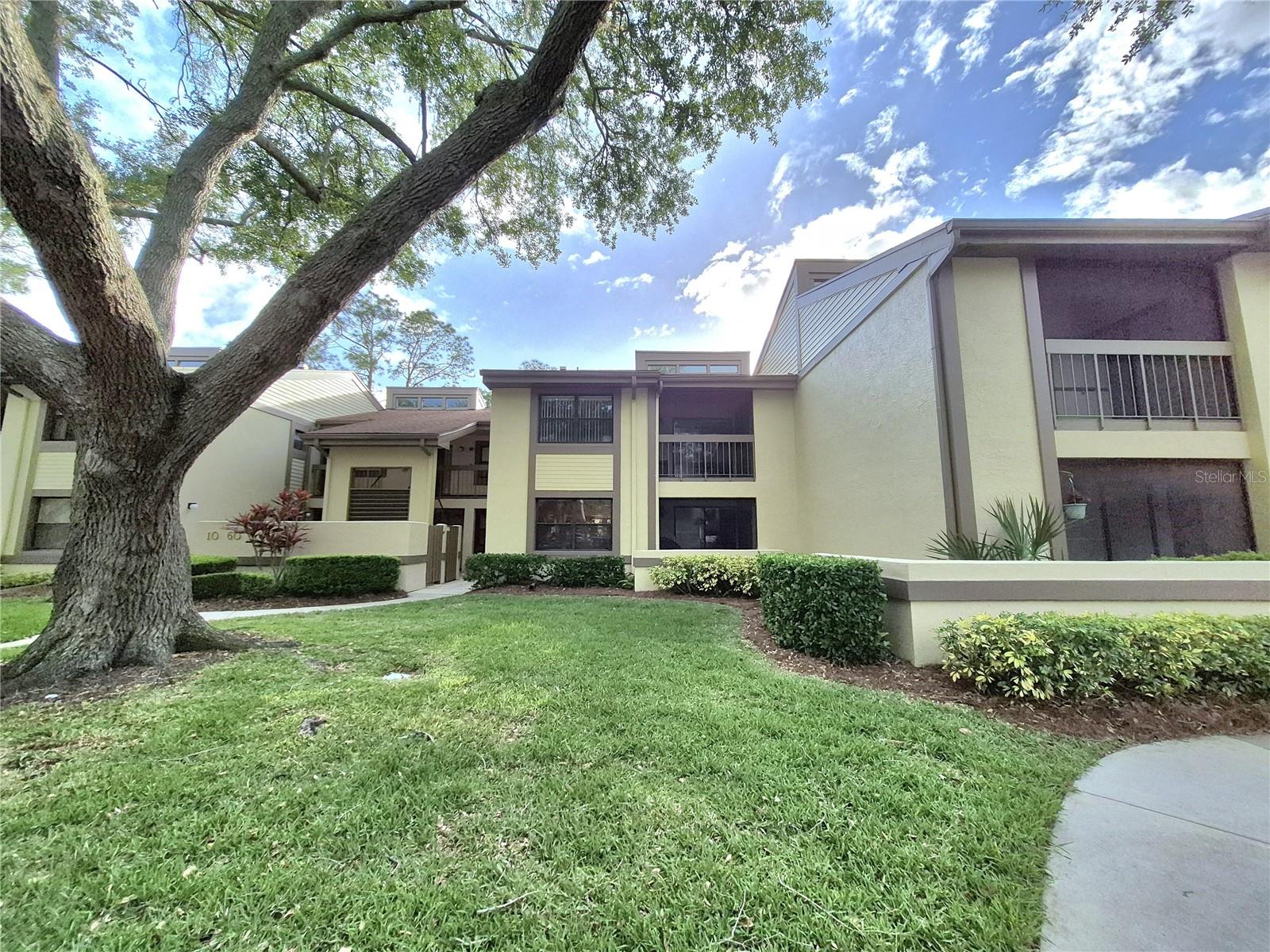 50 WOODLAKE PL, OLDSMAR, FL, 34677