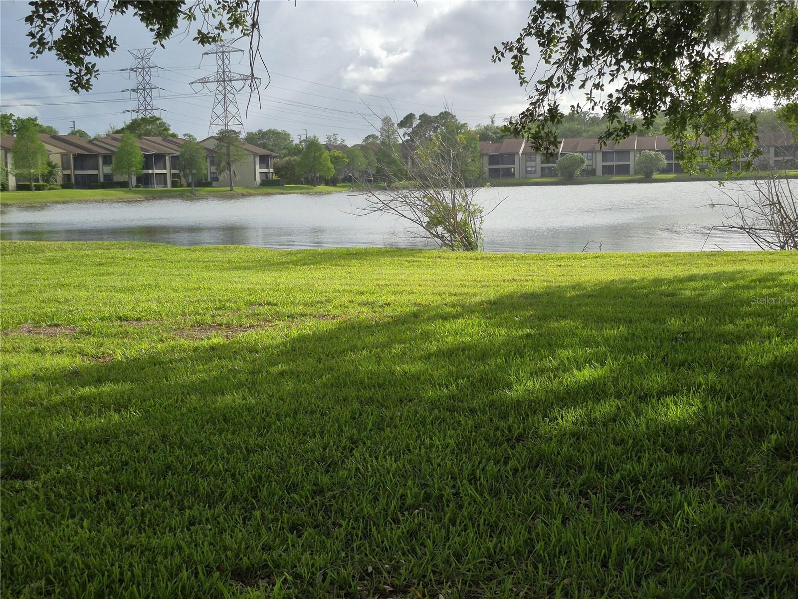 50 WOODLAKE PL, OLDSMAR, FL, 34677