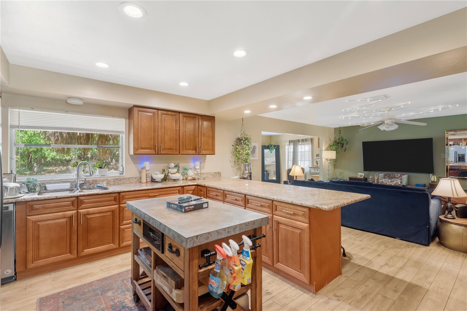 5007 S HESPERIDES ST, TAMPA, FL, 33611