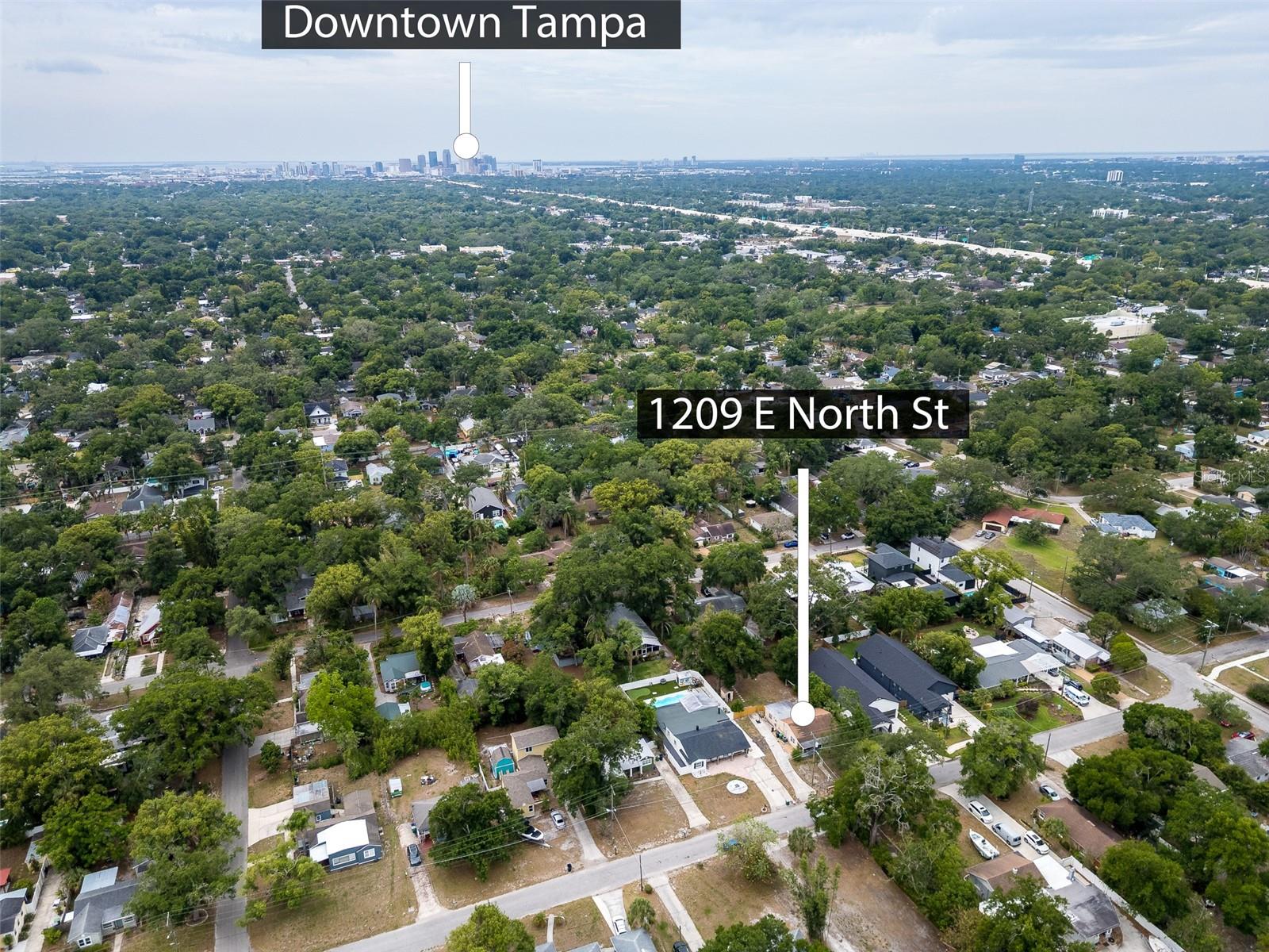 1209 E NORTH ST, TAMPA, FL, 33604