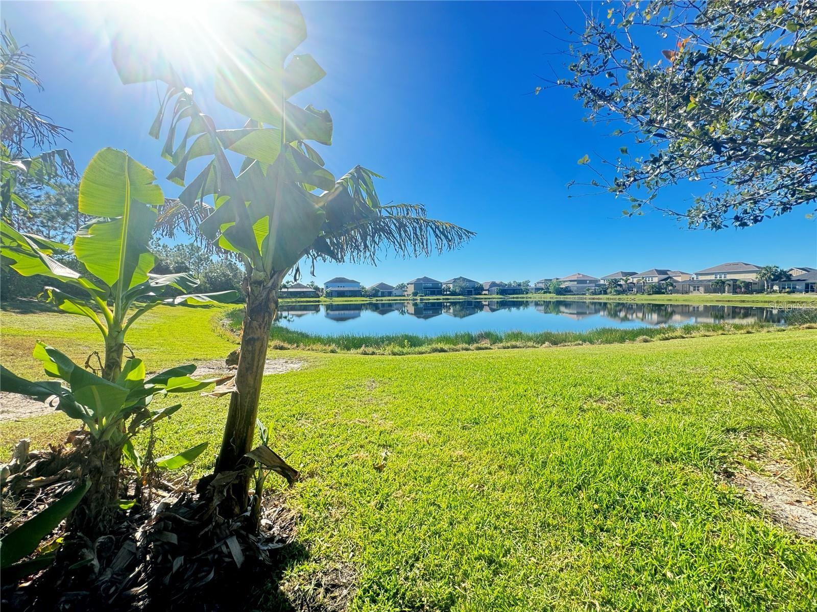 5922 ANISE DR, SARASOTA, FL, 34238