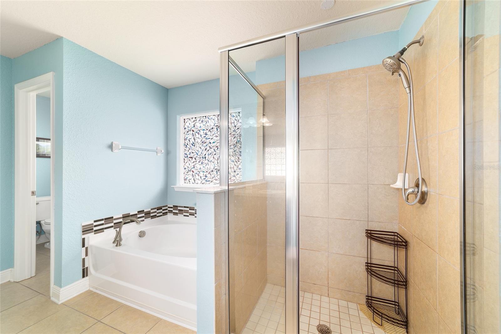 4719 SW 62ND ST, OCALA, FL, 34474
