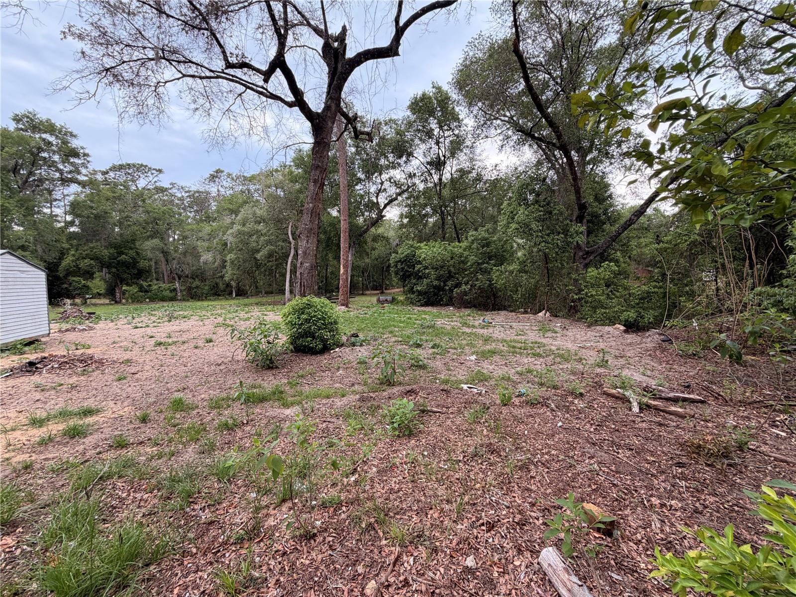 117 BREEZY OAK LN, FORT MC COY, FL, 32134