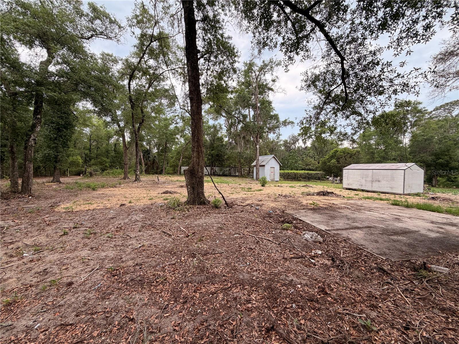117 BREEZY OAK LN, FORT MC COY, FL, 32134