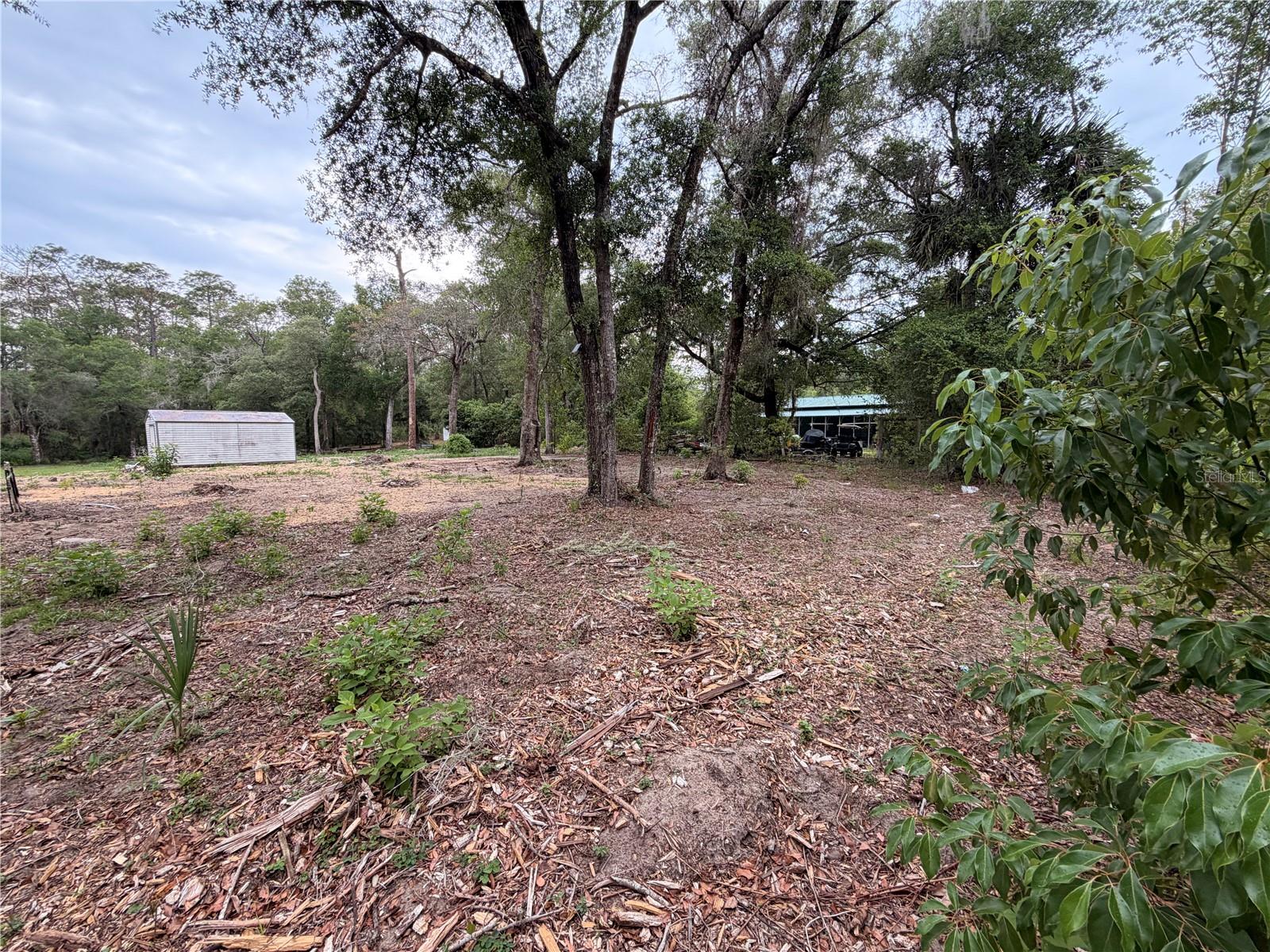117 BREEZY OAK LN, FORT MC COY, FL, 32134