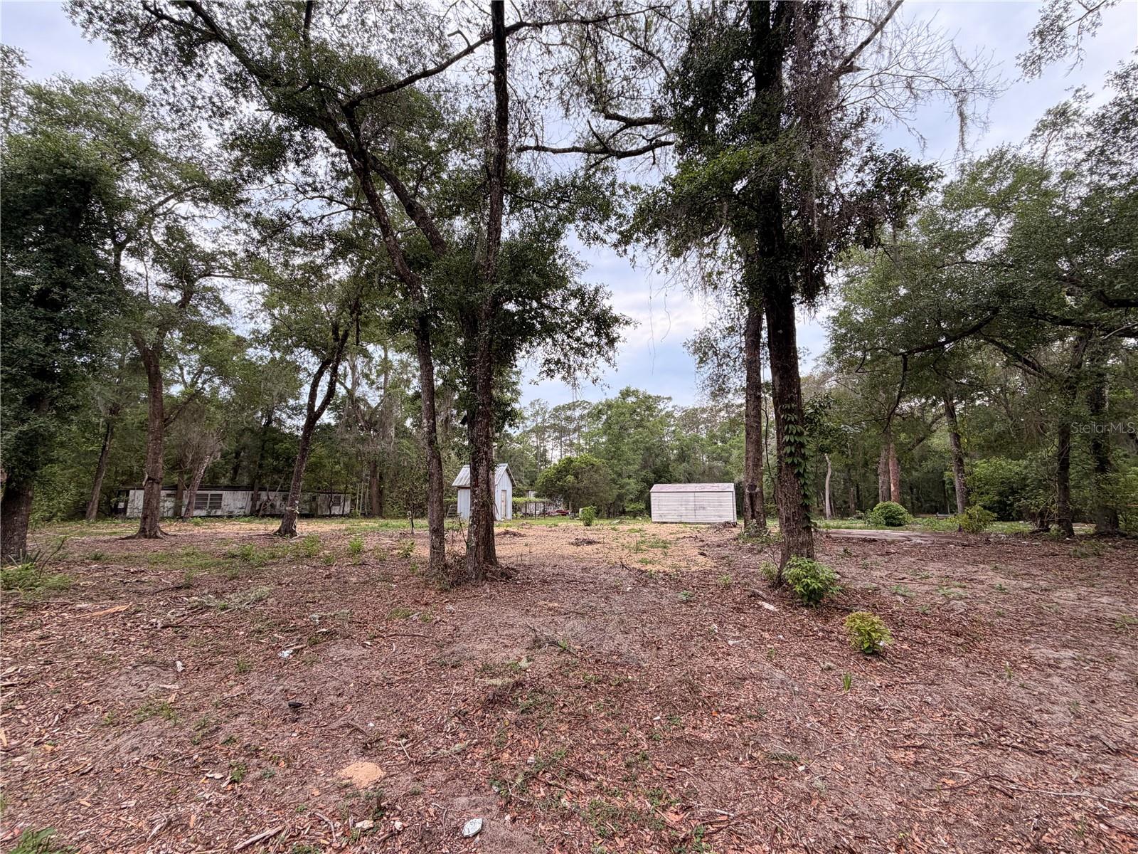 117 BREEZY OAK LN, FORT MC COY, FL, 32134