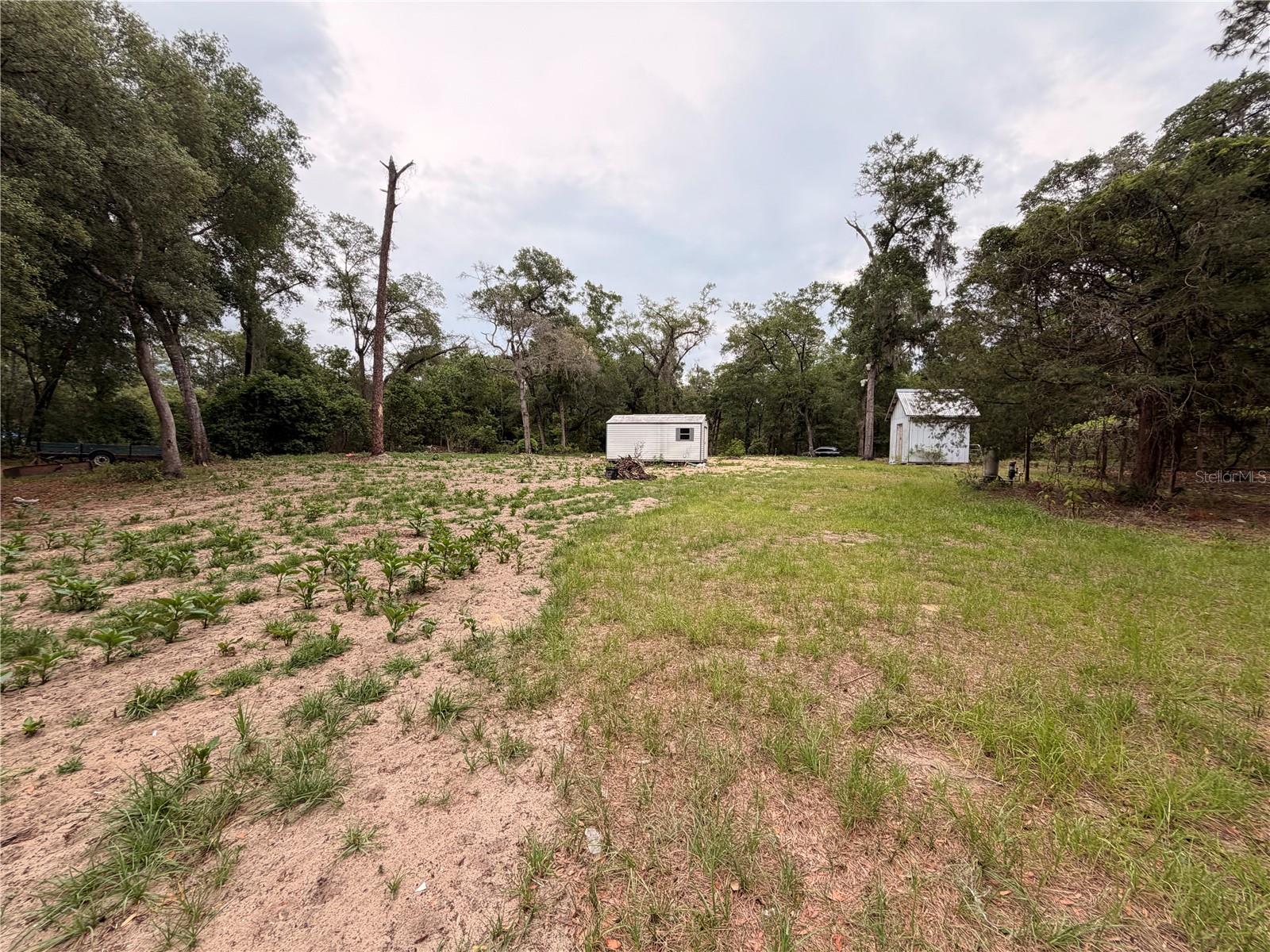 117 BREEZY OAK LN, FORT MC COY, FL, 32134