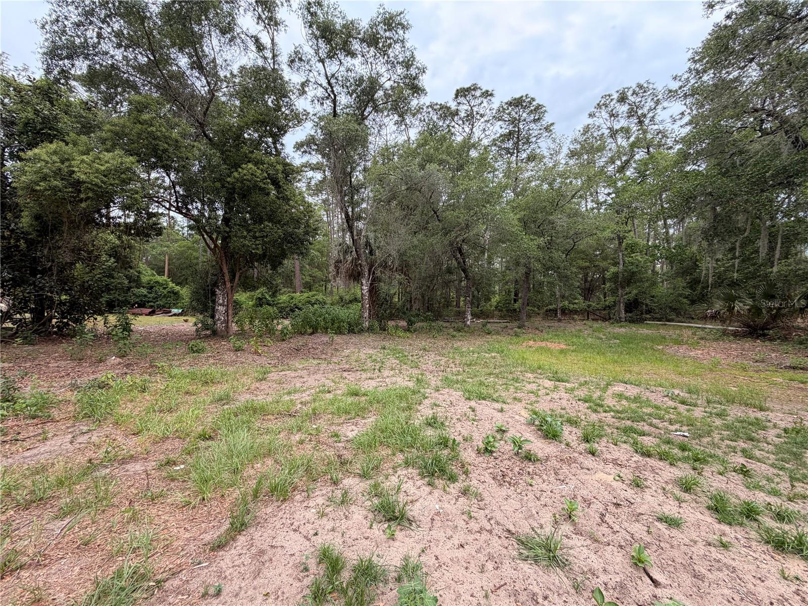 117 BREEZY OAK LN, FORT MC COY, FL, 32134