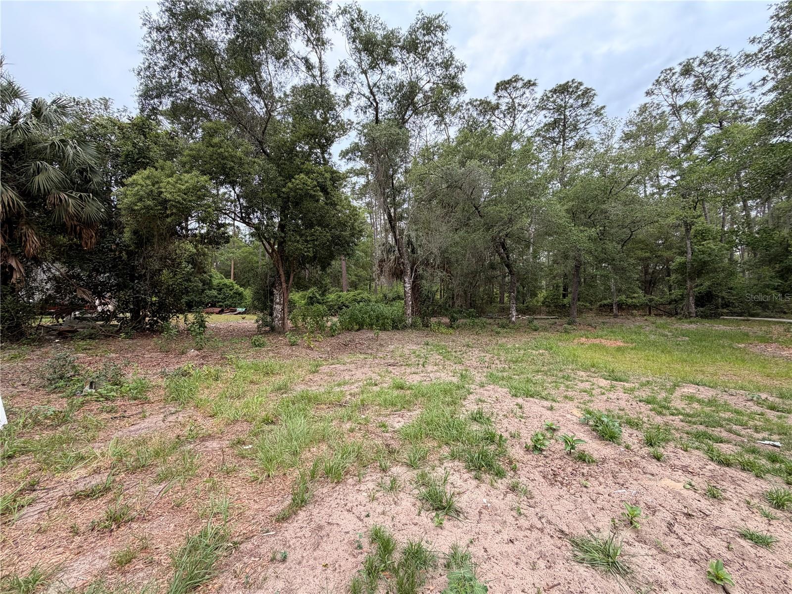 117 BREEZY OAK LN, FORT MC COY, FL, 32134