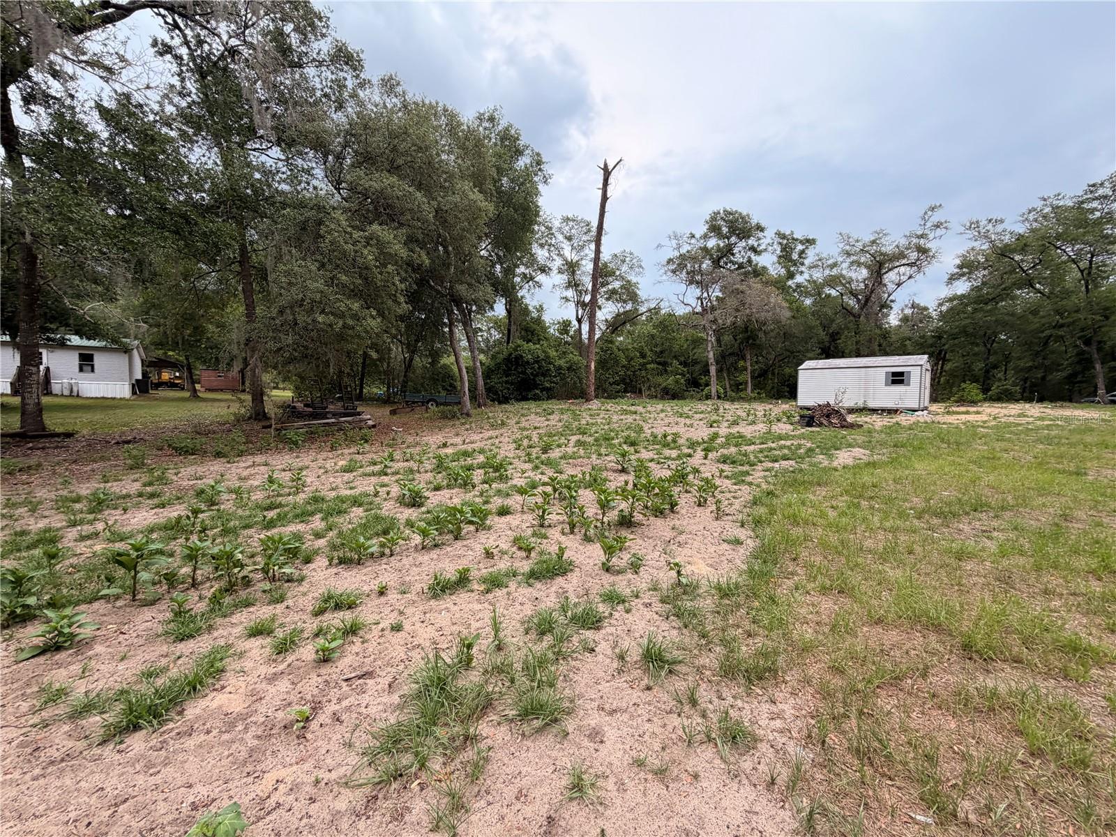 117 BREEZY OAK LN, FORT MC COY, FL, 32134