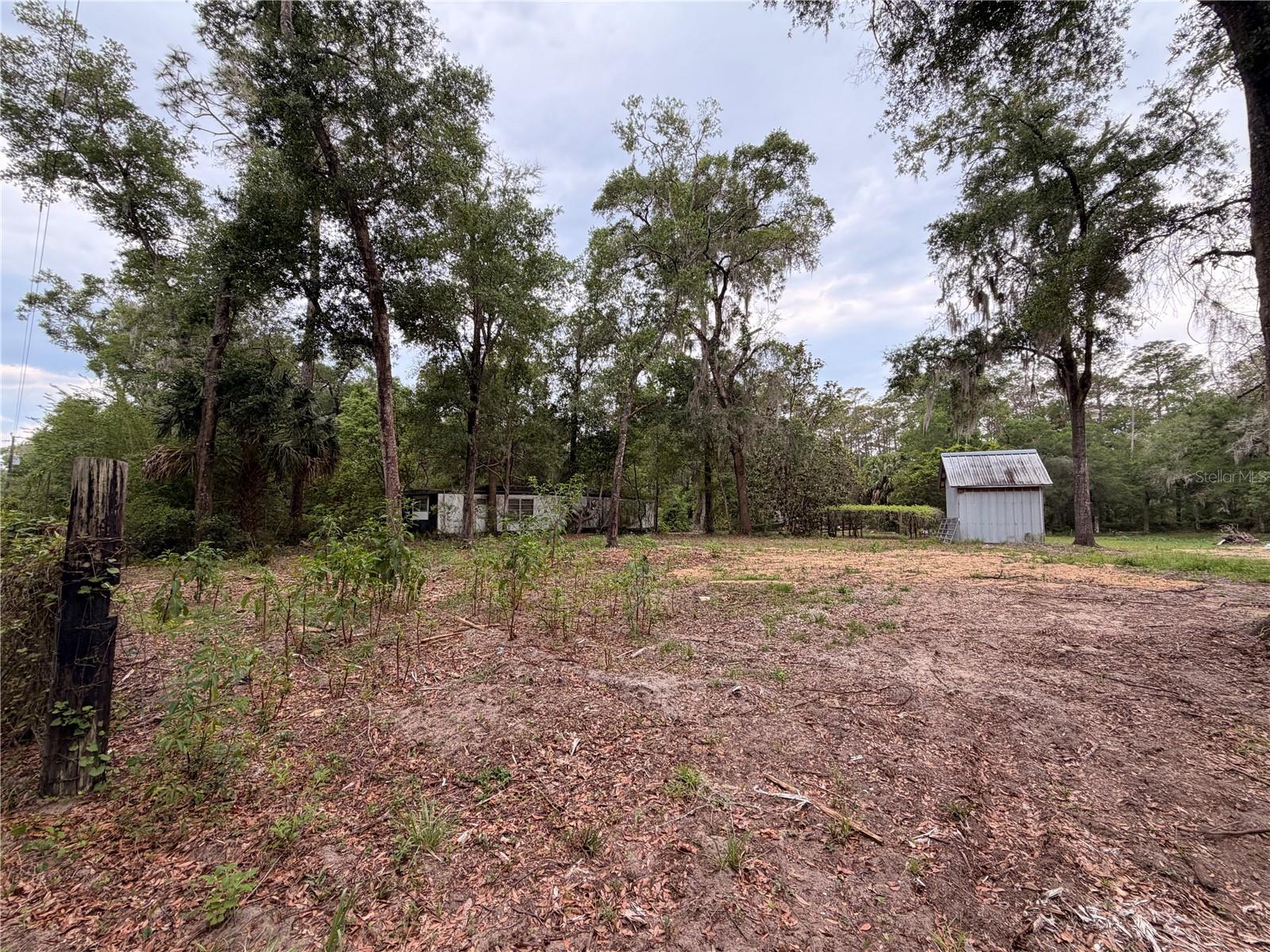 117 BREEZY OAK LN, FORT MC COY, FL, 32134