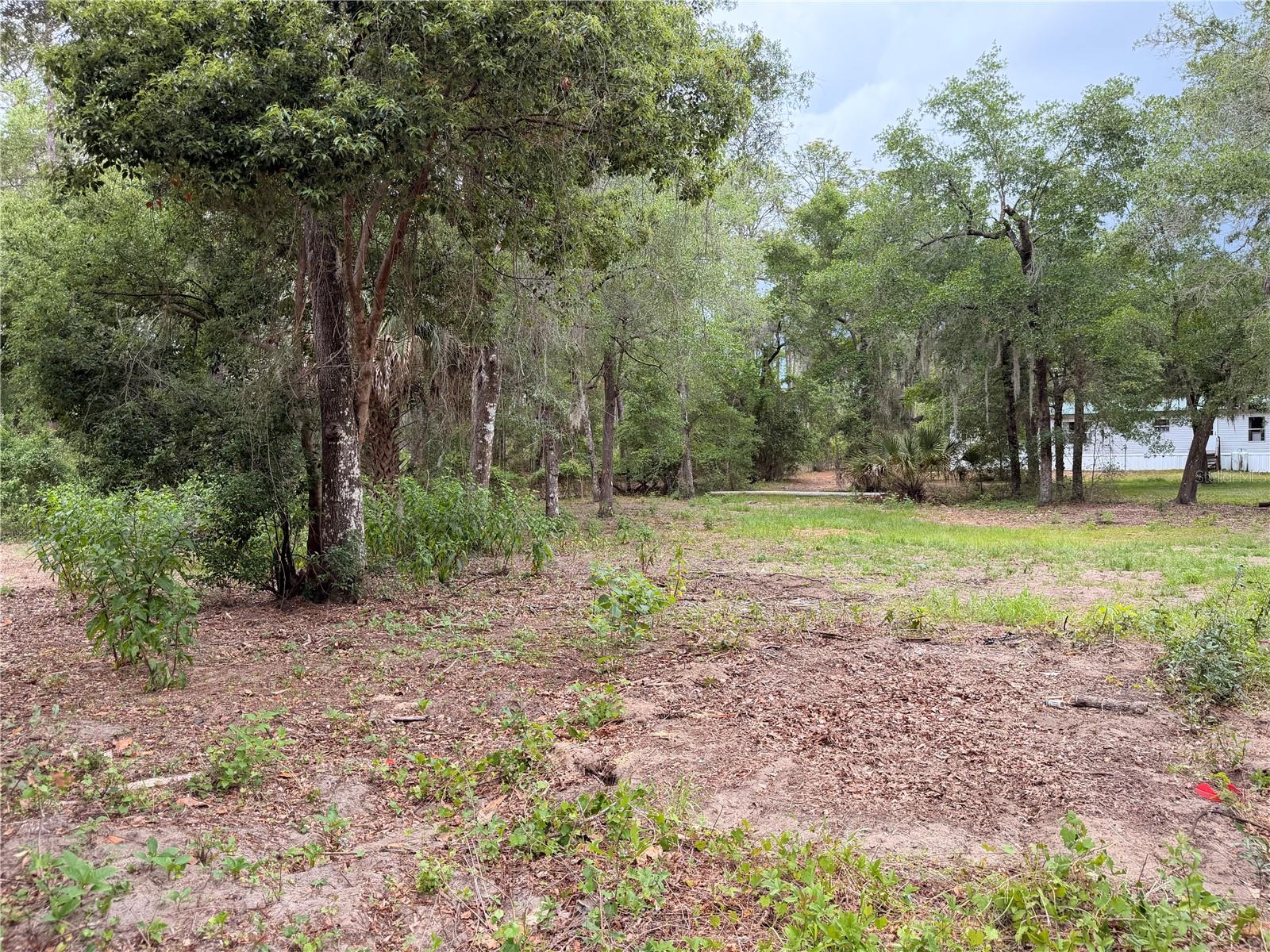 117 BREEZY OAK LN, FORT MC COY, FL, 32134