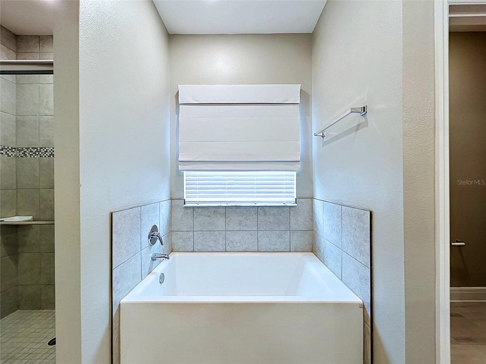 11813 JUNE BRIAR LOOP, SAN ANTONIO, FL, 33576
