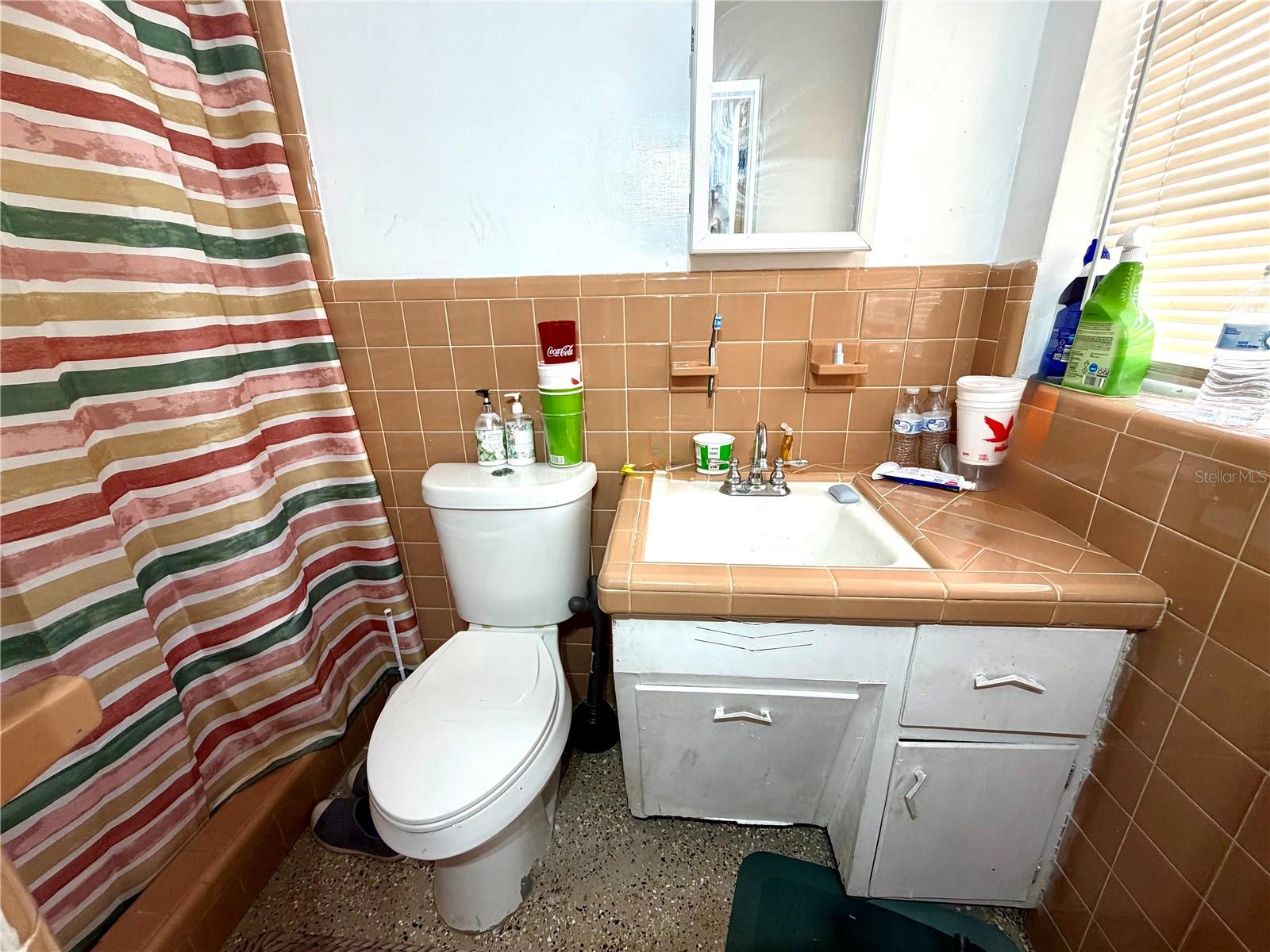 317 AVENUE G SE, WINTER HAVEN, FL, 33880