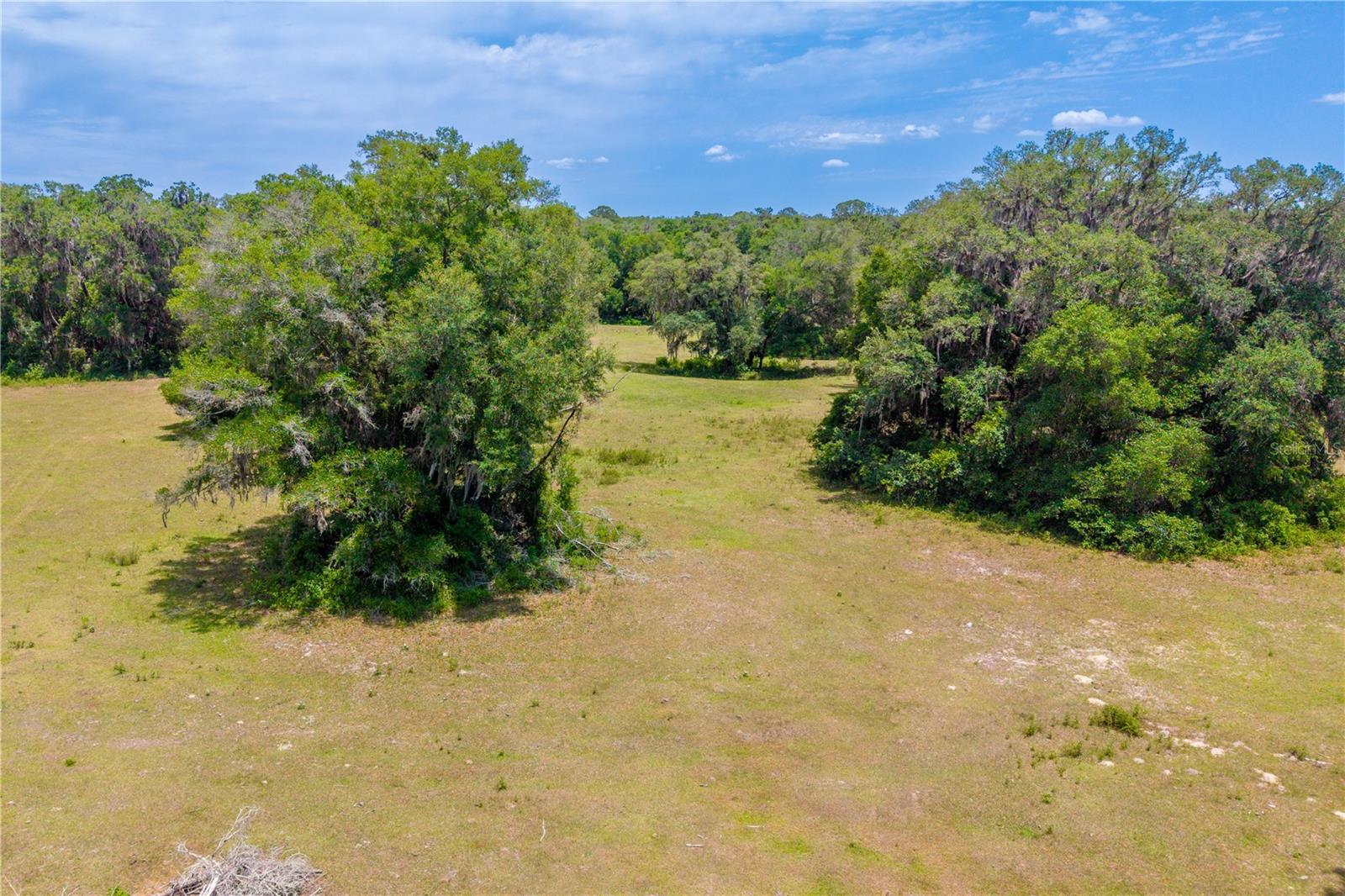 TBD SW 170TH ST, NEWBERRY, FL, 32669